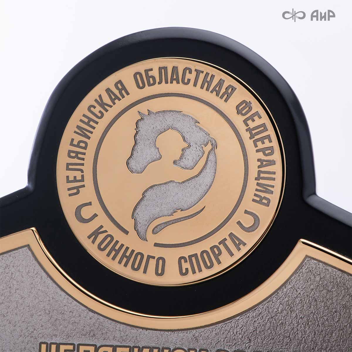 Кубок губернатора Челябинской области по конкуру, 2025, посвященный памяти П.И. Сумина, Артикул: 39088 - Компания «АиР»