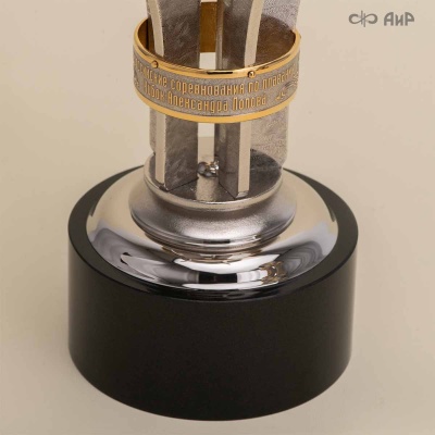 Малый Кубок Александра Попова (Всероссийские соревнования по плаванию 21-23 мая 2025 Челябинск) Артикул 39079 - Компания «АиР»