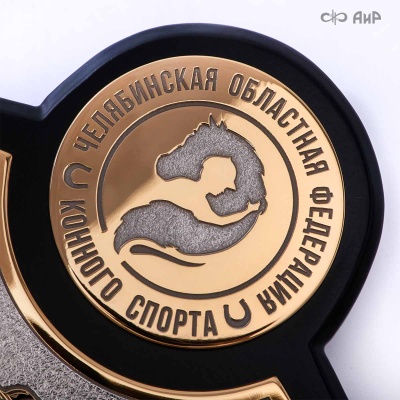 Кубок губернатора Челябинской области по конкуру, 2025, посвященный памяти П.И. Сумина, Артикул: 39088 - Компания «АиР»