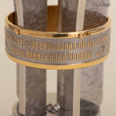 Малый Кубок Александра Попова (Всероссийские соревнования по плаванию 21-23 мая 2025 Челябинск) Артикул 39079 - Компания «АиР»