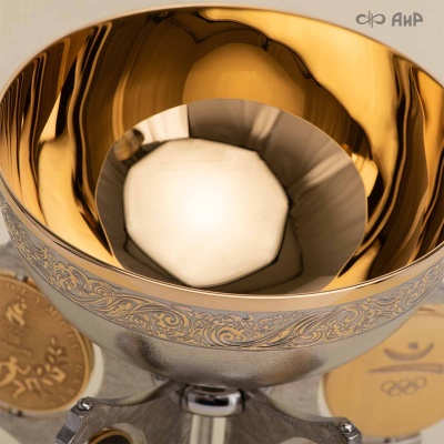 Малый Кубок Александра Попова (Всероссийские соревнования по плаванию 21-23 мая 2025 Челябинск) Артикул 39079 - Компания «АиР»