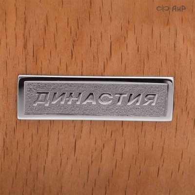 Наградной приз Буран-День Династия - Компания «АиР»