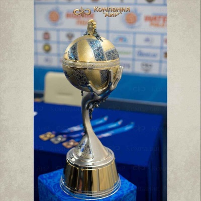 Кубок спортивный 2017, 2018 (водное поло) - Компания «АиР»