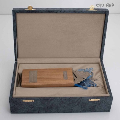 Наградной приз Буран-День Династия - Компания «АиР»