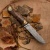Нож Чернокрылый павлин, Артикул: 37518 - Компания «АиР»