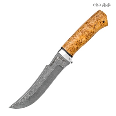 Клык (карельская береза, с золочением) дамасская сталь ZDI-1016 - Компания «АиР»