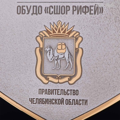 Кубок губернатора Челябинской области по конкуру, 2025, посвященный памяти П.И. Сумина, Артикул: 39088 - Компания «АиР»